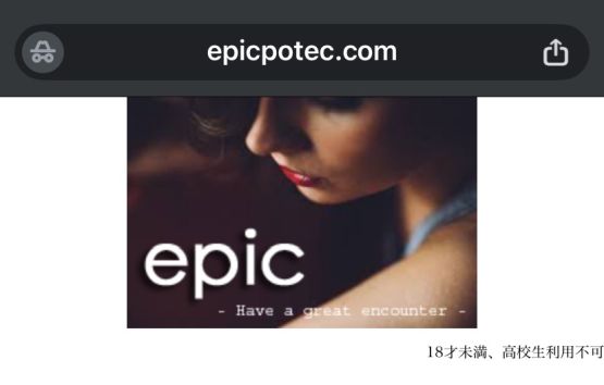 epic 詐欺